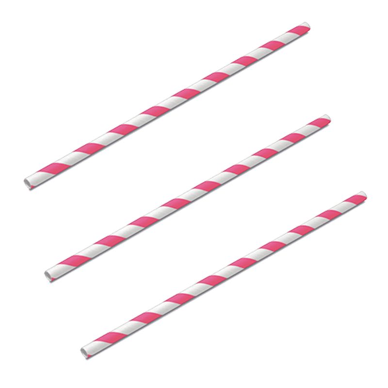 Canudo-de-Papel-Listrado-Pink-c-20---Silver-Festas