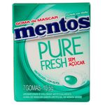 Goma-de-Mascar-Mentos-Pure-Wintergreen-c-12---Perfetti