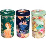 Lata-Colecionavel-Biscoitos-Amanteigados-Collection-150g-Unidade---Santa-Edwiges