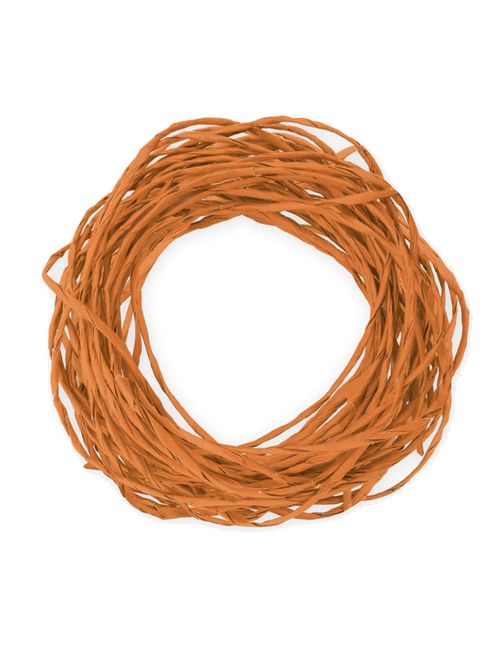 Fio de Papel Decorativo Laranja 7m -  Cromus