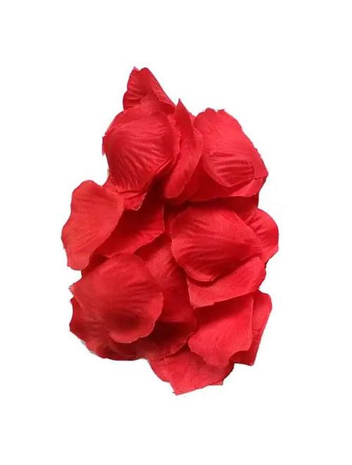 Confete de Pétalas Vermelhas 20g - Silver Festas