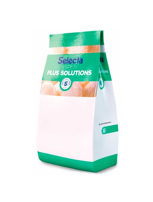 Base p/ Gelados Max Cream 500g - Selecta