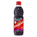 Suco-Concentrado-Uva-500ml---Maguary