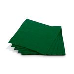 Guardanapo-Liso-Verde-25x25-c-20---Silver-Festas