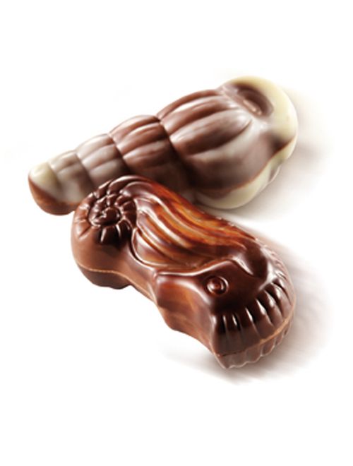 Bombom Chocolate Ao Leite Belga Seashells Blue Ribbon 250g - Belgian