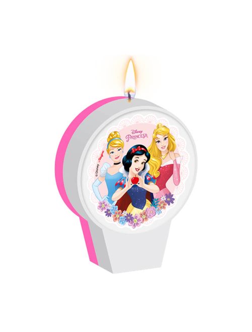 Jardim das Princesas Disney Vela - Regina