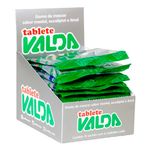 Goma-de-Mascar-Tablete-Mentol-c-15---Valda
