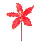 Flor-Poinsetia---Cromus
