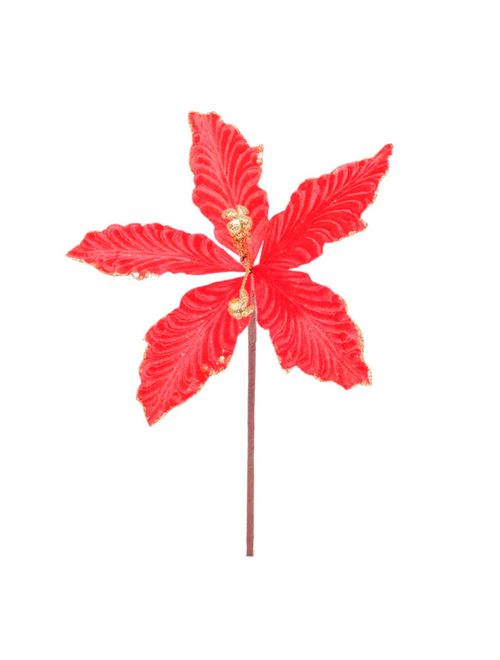 Flor Poinsétia - Cromus