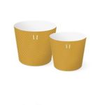Cinta-para-Vaso-c-12-Ouro---Cromus