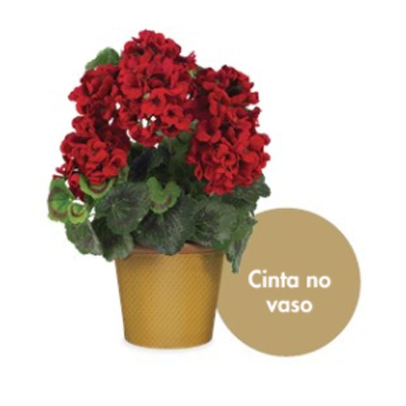 Cinta-para-Vaso-c-12-Ouro---Cromus