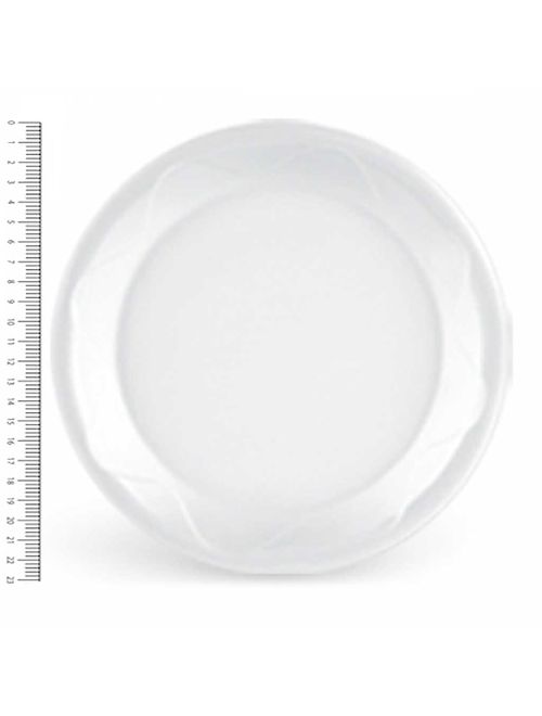 Prato Térmico Raso 23cm c/20 - Darnel