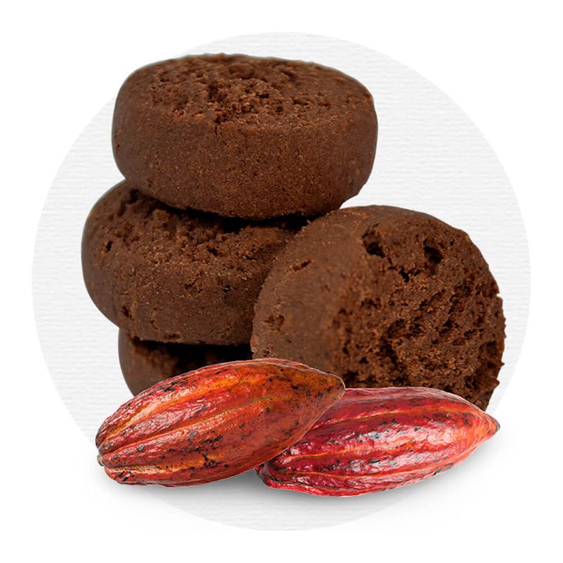 Biscoito-de-Cacau-Sem-Gluten-100g---CeliVita