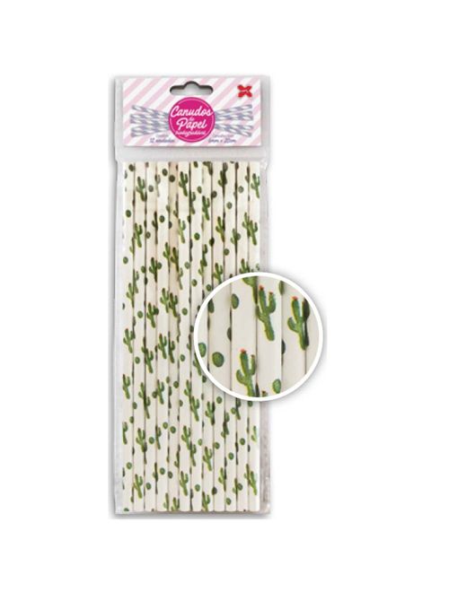 Canudo de Papel Cactos c/12 - Make