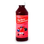 Recheio-e-Cobertura-de-Frutas-Vermelhas-12kg---Di-Caramella