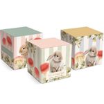 Caixa-Pop-Feliz-Pascoa-Breeze-7x7x7cm-Un---Cromus