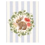 Saco-Incolor-Decorado-Pascoa-Breeze-11x195cm-c-50---Cromus