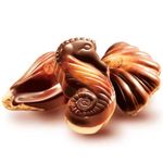 -Bombom-Chocolate-Sortido-Seashells-195g---Belgian-Harvest