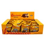 Bolinho-Chocolate-Recheio-Baunilha-40g-c-16---Bauducco
