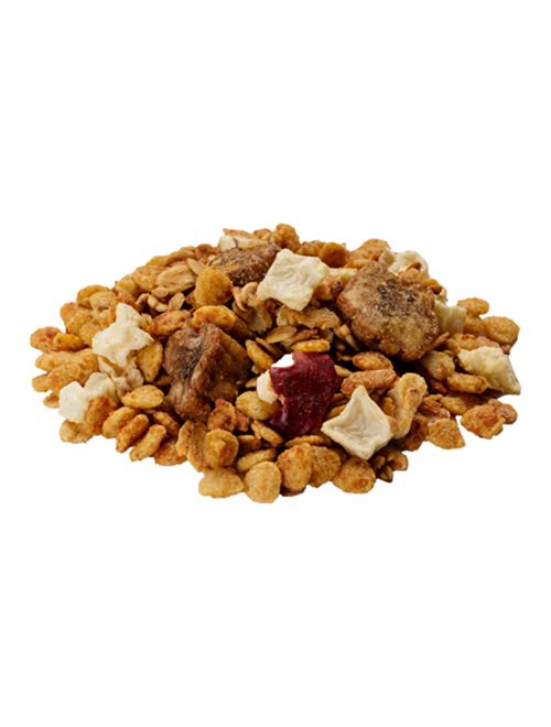 Granola Light 200g - Tia Sônia