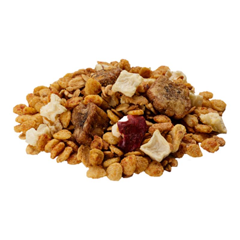 Granola-Light-200g---Tia-Sonia