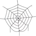 Halloween-Teia-Especial-Decorativa-Preta-150cm---Popper-