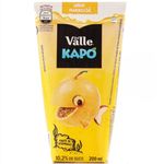 Suco-de-Maracuja-200ml---Del-Valle-Kapo