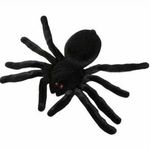 Halloween-Enfeite-Aranha-Veludo-Decorativa-20x15cm---Issam