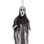 Halloween-Enfeite-Caveira-Fantasma-Voador-30x50cm---Cim
