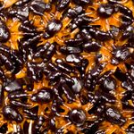 Bala-de-Gelatina-Aranha-Pessego-e-Amora-250g---Fini