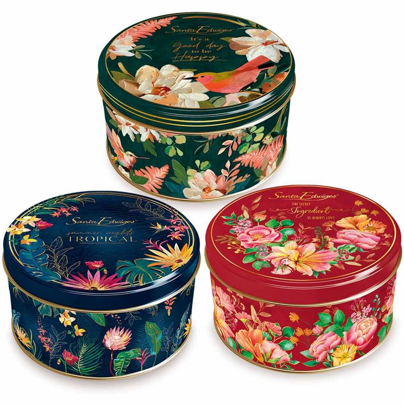 Lata-Colecionavel-Mini-Biscoitos-Amanteigados-Baby-150g-Unidade---Santa-Edwiges