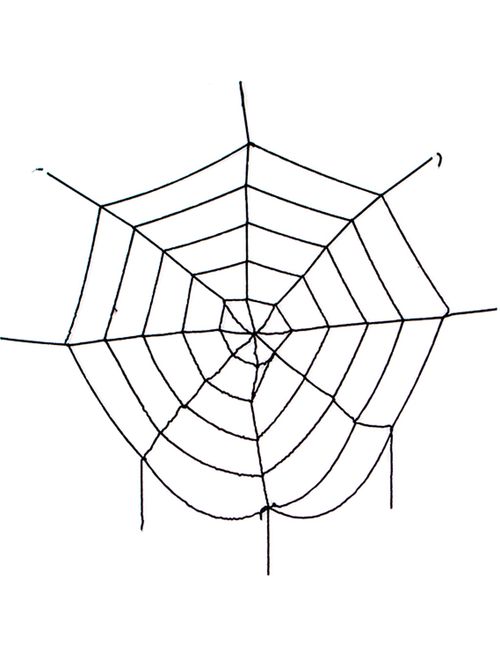 Halloween Teia Especial Decorativa Preta 150cm - Popper